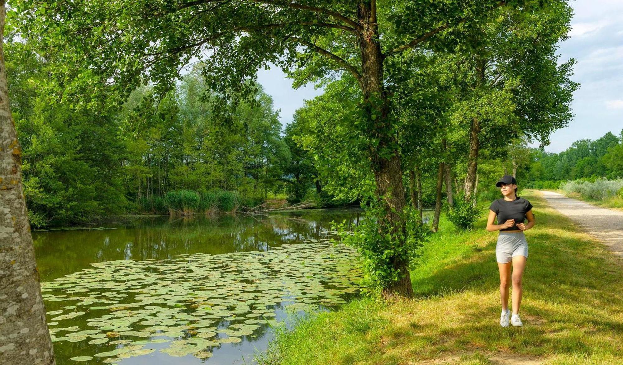 Camping Chateau De Galaure Chateauneuf-de-Galaure Экстерьер фото